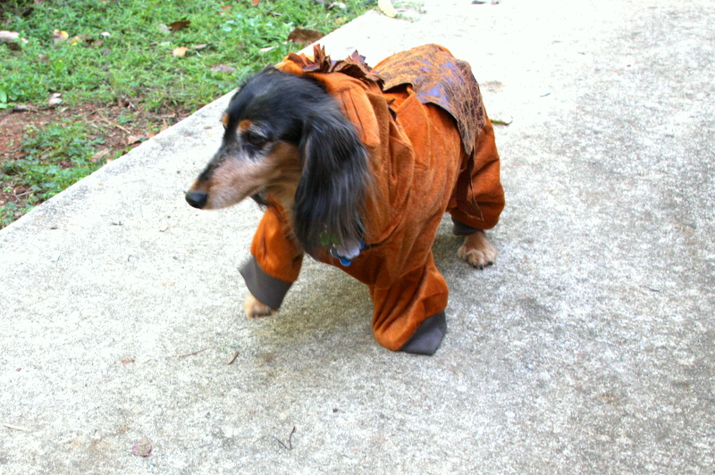 Be Still a Minute... 10 Hallowiener Costumes