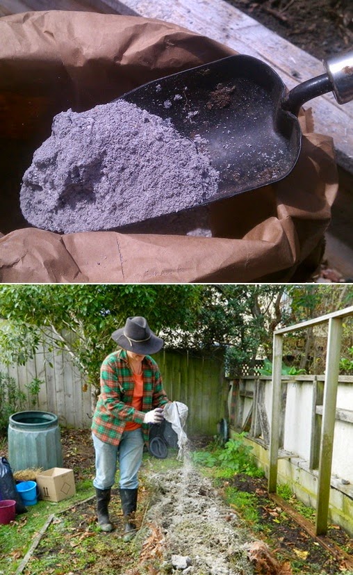 How to use ashes as fertilizer Organic_Gardening 101 Gardening