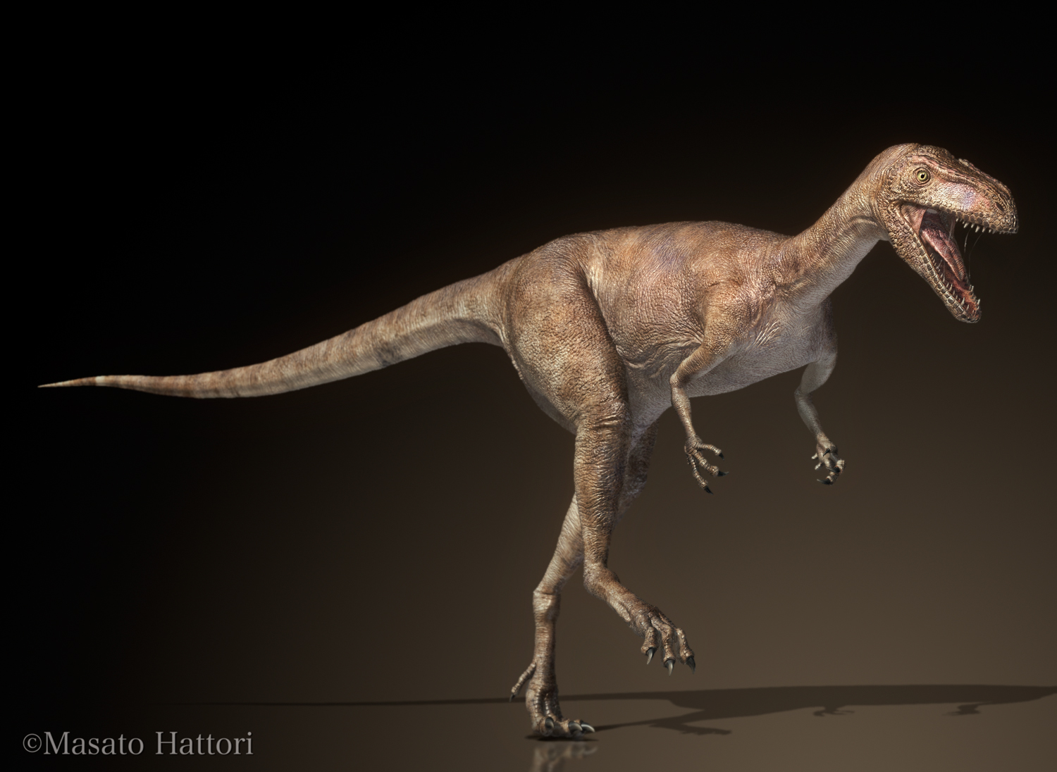 Marchan Blog: スタウリコサウルス Staurikosaurus