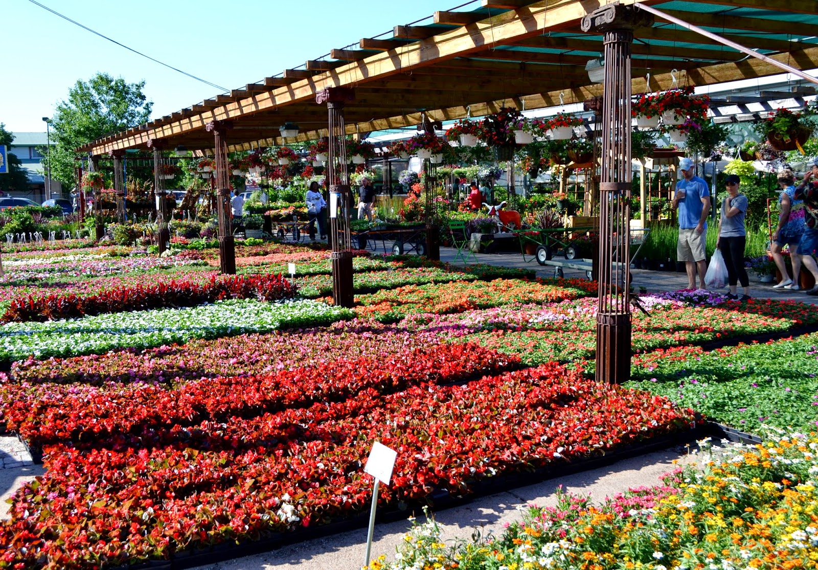wonderfully made Bucket List Dallas Farmer's Market