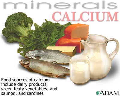Nonfat calcium rich foods osteoporosis