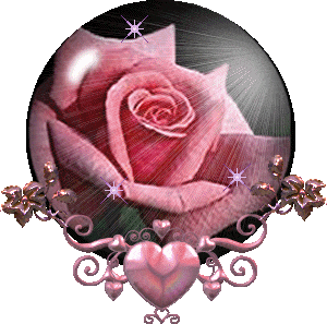 Pink rose of love
