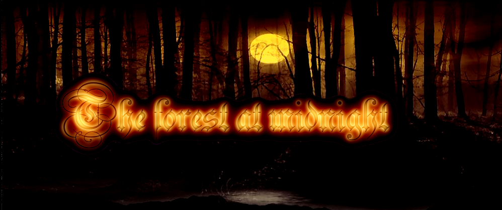 The forest at midnight