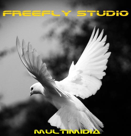 FreeFly Studio Multimídia -  Itajaí