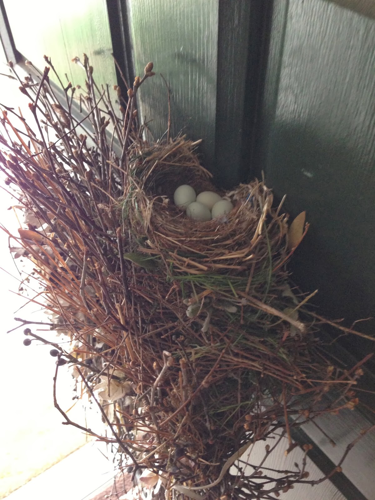 Hold On To Your Hats A Bird In The Nest Is Worth Two