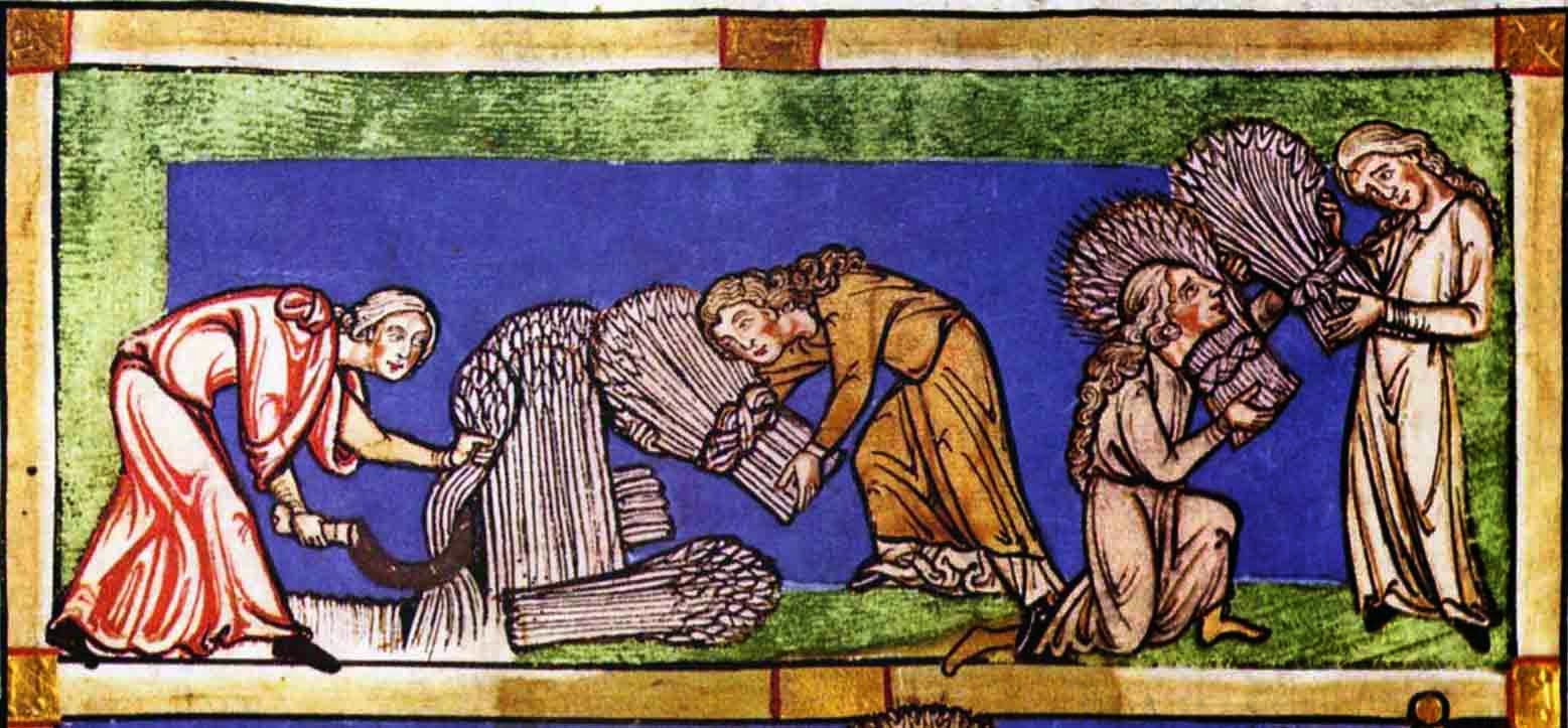 Blog d'en Salvi Els mas usos i les obligacions feudals a la