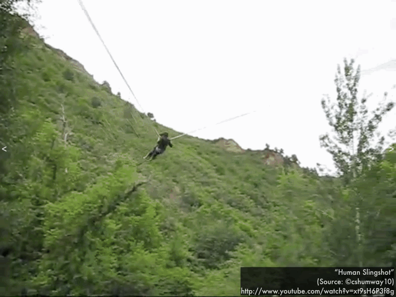 Pdog's blog boring but important Online reading assignment simple