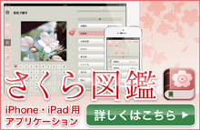 iPhone・iPad用図鑑アプリ「さくら図鑑」サポートブログ