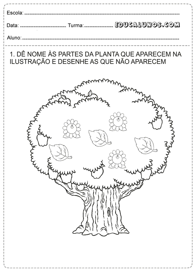 Desenhe o que tem na arvore