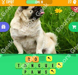 1 Pic 3 Words Level 217 answers cheats, solutions, walkthrough for 1 pic 3 words level 217