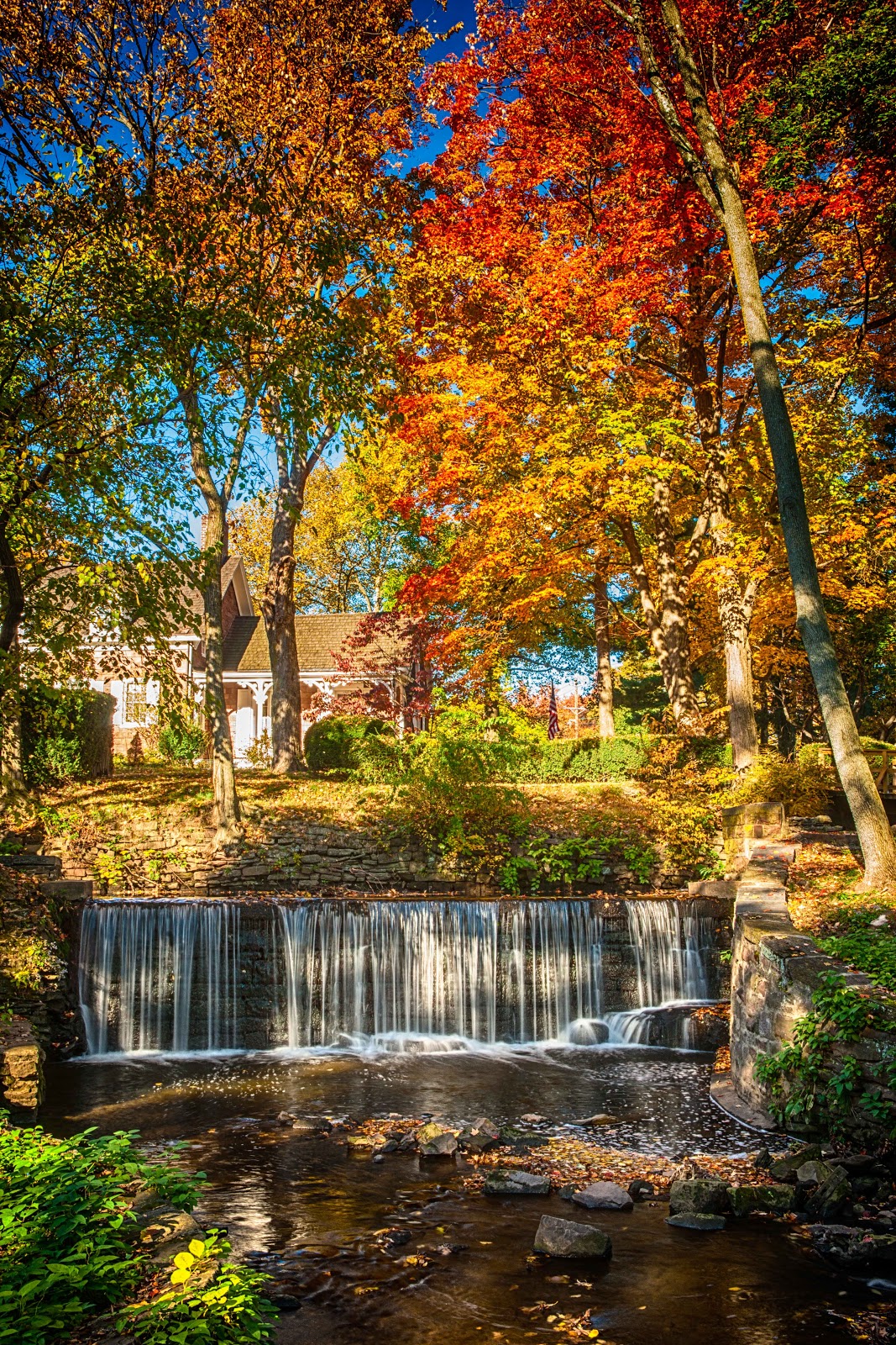 Your Shutter Buddy's USA tours Fall and Spring