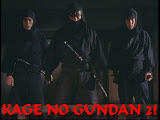 Kage No Gundan 2 Episode Guide