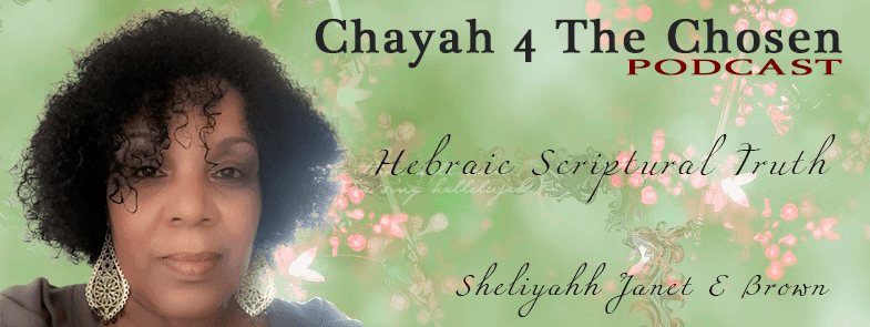 Chayah 4 The Chosen