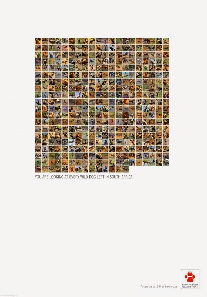 You Are Looking At Every Animal Left In Africa - 33 Powerful Animal Ad Campaigns That Tell The Uncomfortable Truth You Are Looking At Every Animal Left In Africa - 33 Powerful Animal Ad Campaigns That Tell The Uncomfortable Truth