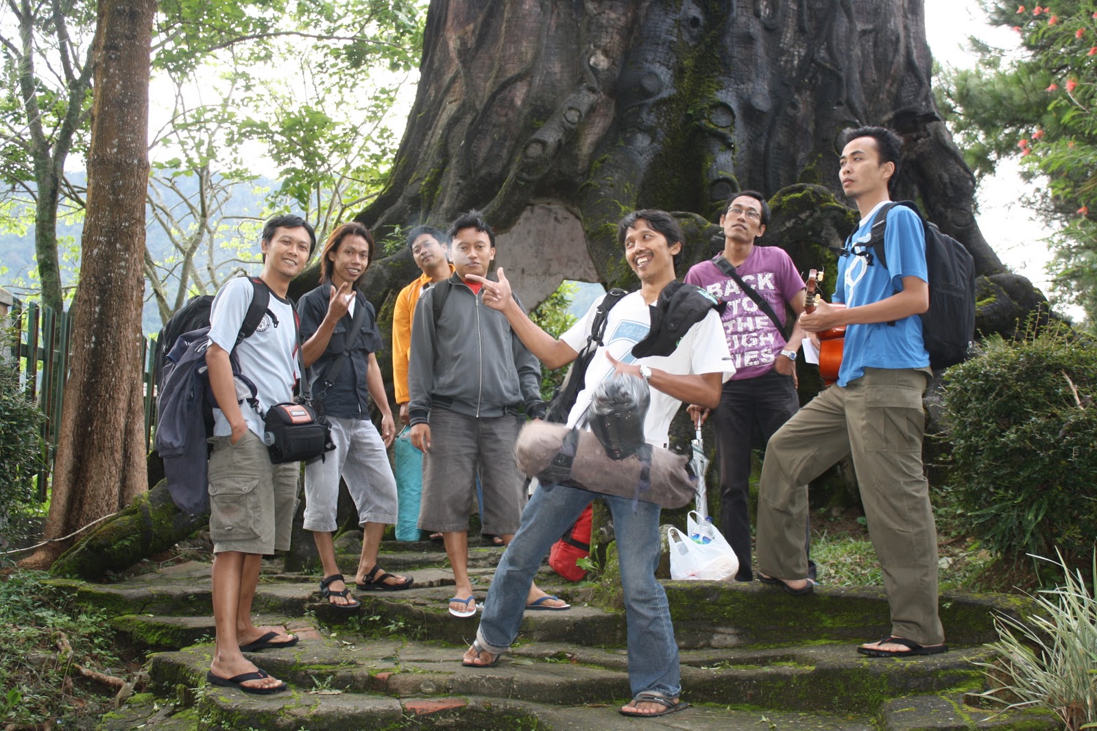 it's my life: Mandalawangi cibodas
