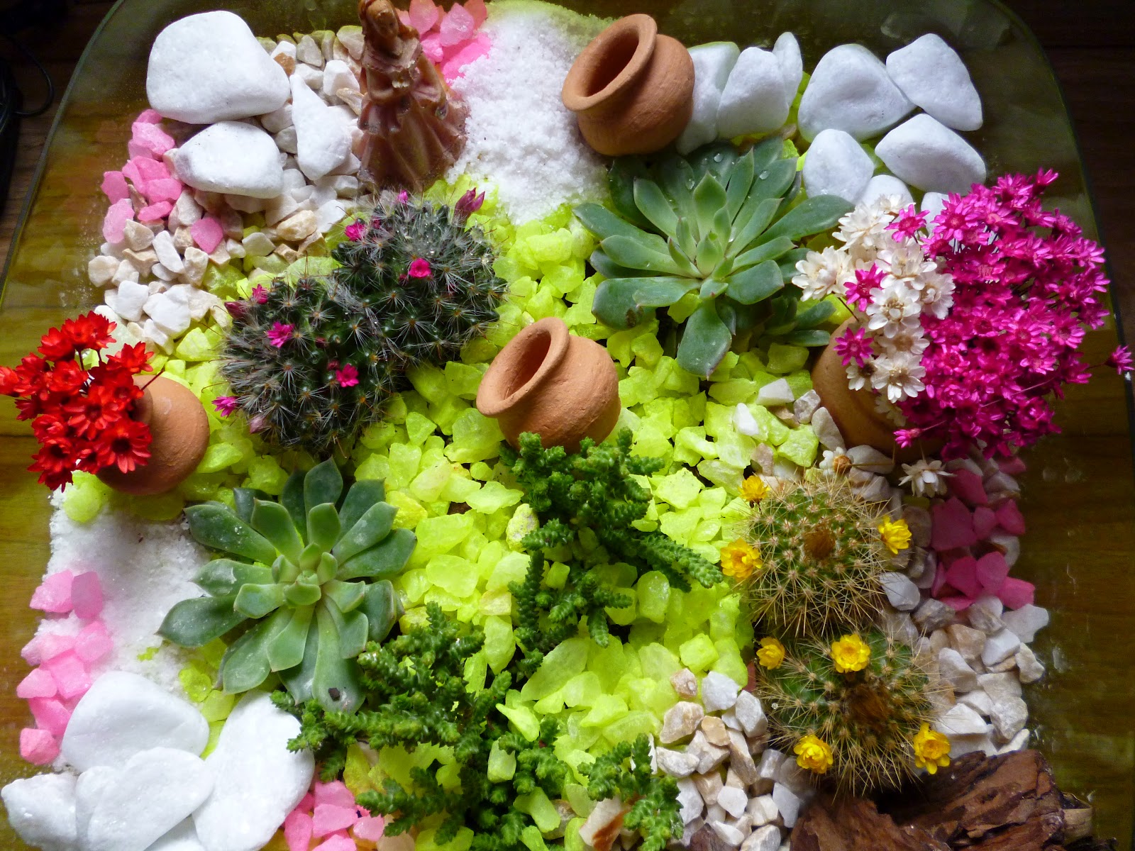 mini jardins em vaso: Novos e Criativos ” Mini Jardins ” que faço com muito amor e carinho mini jardins em vaso: Novos e Criativos ” Mini Jardins ” que faço com muito amor e carinho