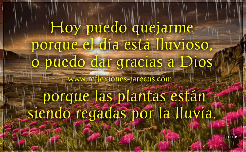 Hoy puedo quejarme y lamentarme Reflexiones de superación Reflexiones y lecturas para meditar