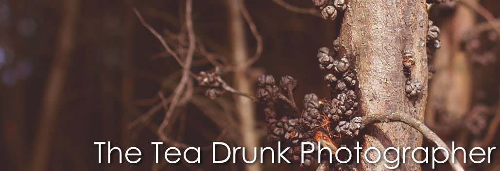 The Tea Drunk Photographer