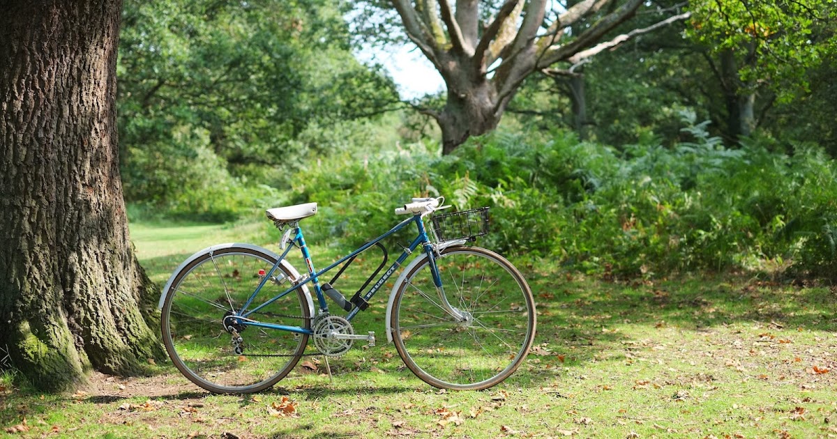 peugeot cadre allege