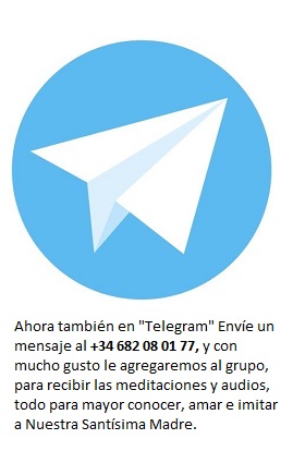 Telegram - +34 682 08 01 77