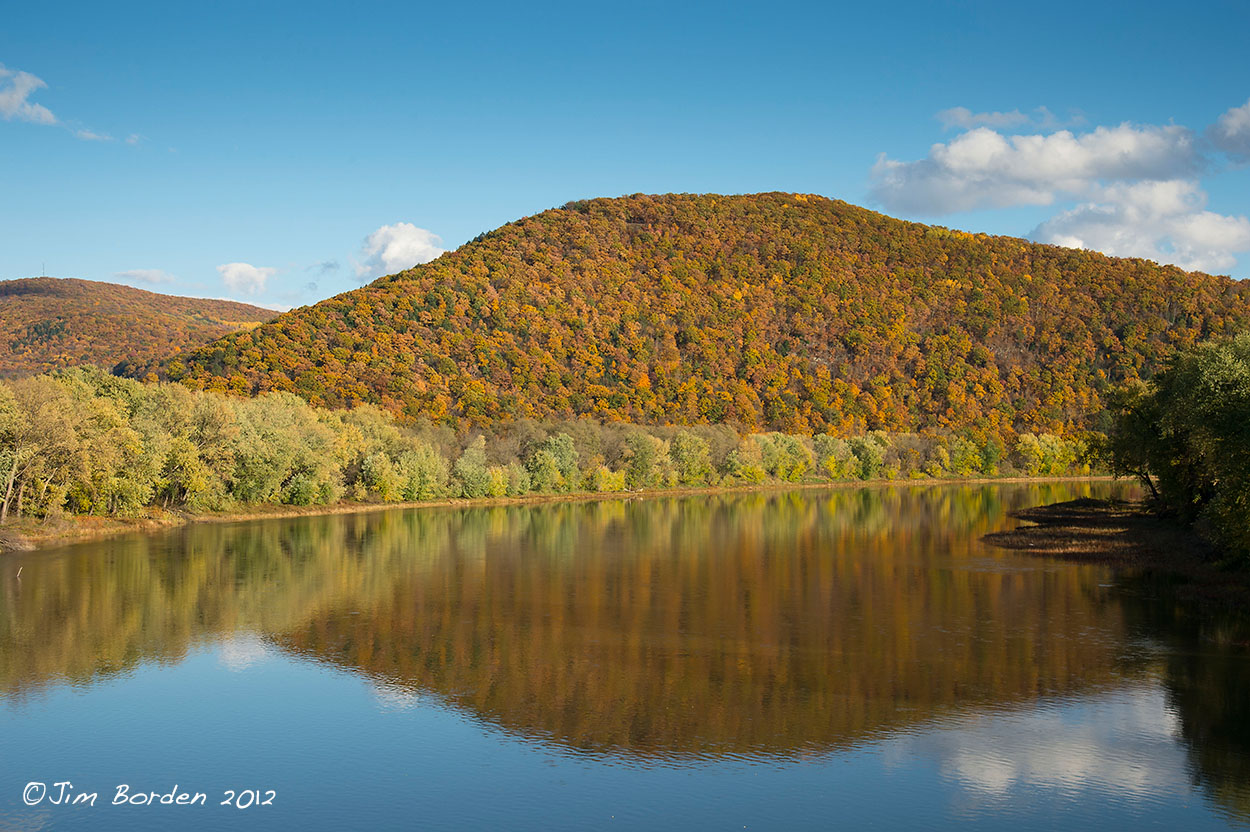 JJ Wildlife Photography Tunkhannock PA
