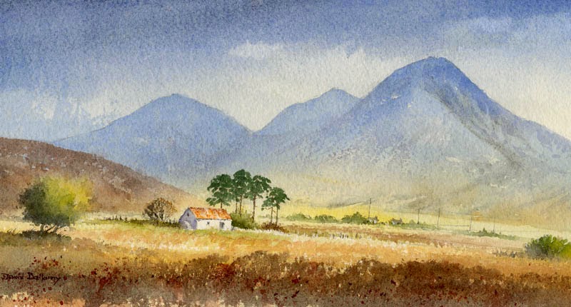 David Bellamy – Reserving whites in a watercolour