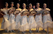 Escola de Ballet Dicléa Ferreira de Souza