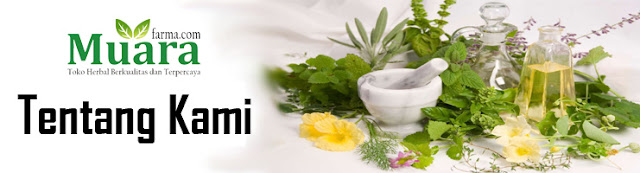 Tentang Kami Agen Obat Herbal Tentang kami, about us, blog kesehatan