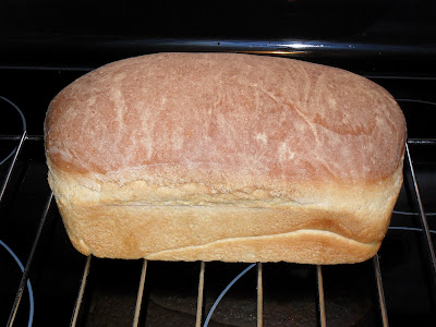 This is far and away the best loaf of bread I've ever baked. The finished, browned loaf cooling on a rack.