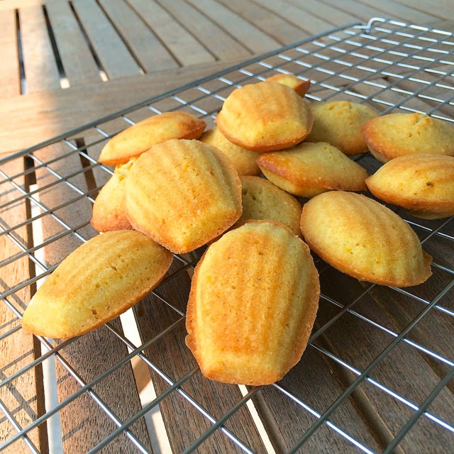 pepsakoy Almond & Orange Madeleines