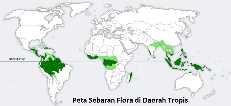 Portal Geografi Persebaran Flora Di Dunia Portal Geografi Persebaran Flora Di Dunia