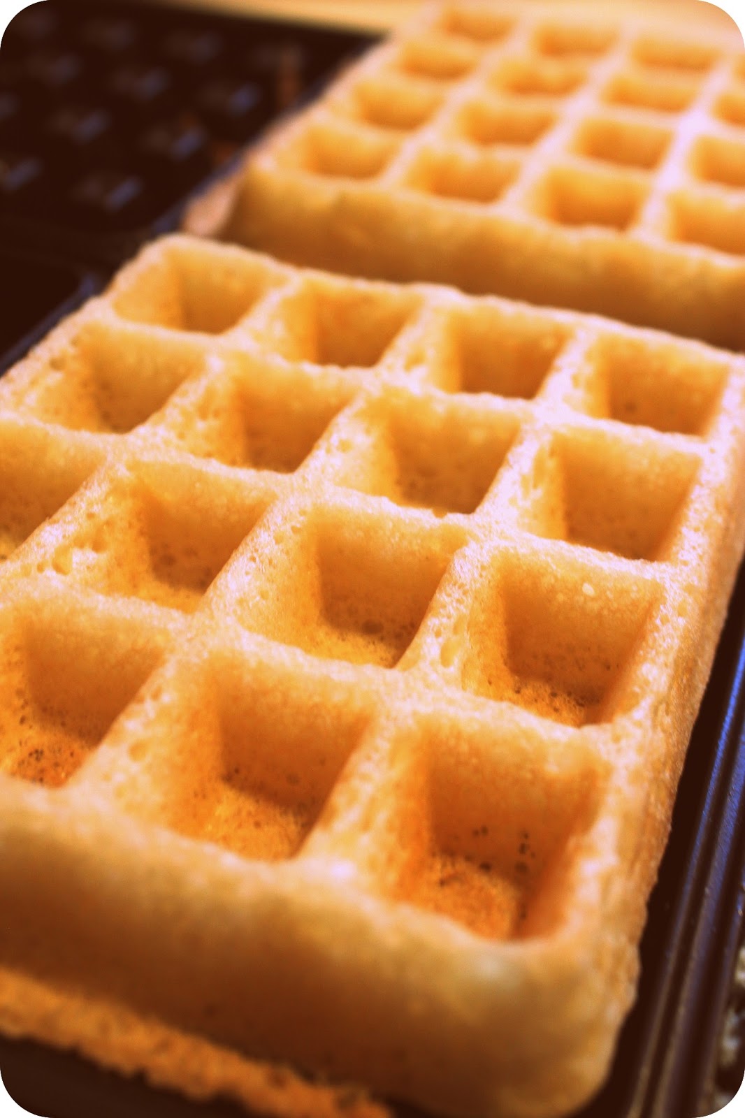 Swavory Stuff soft & crispy glutenfree waffles