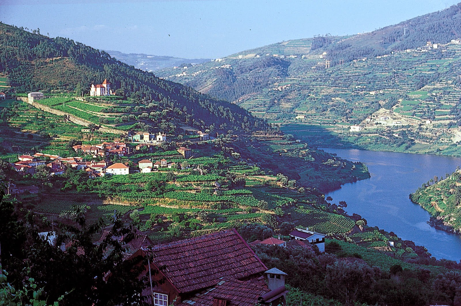 Douro River, Portugal VdudesV