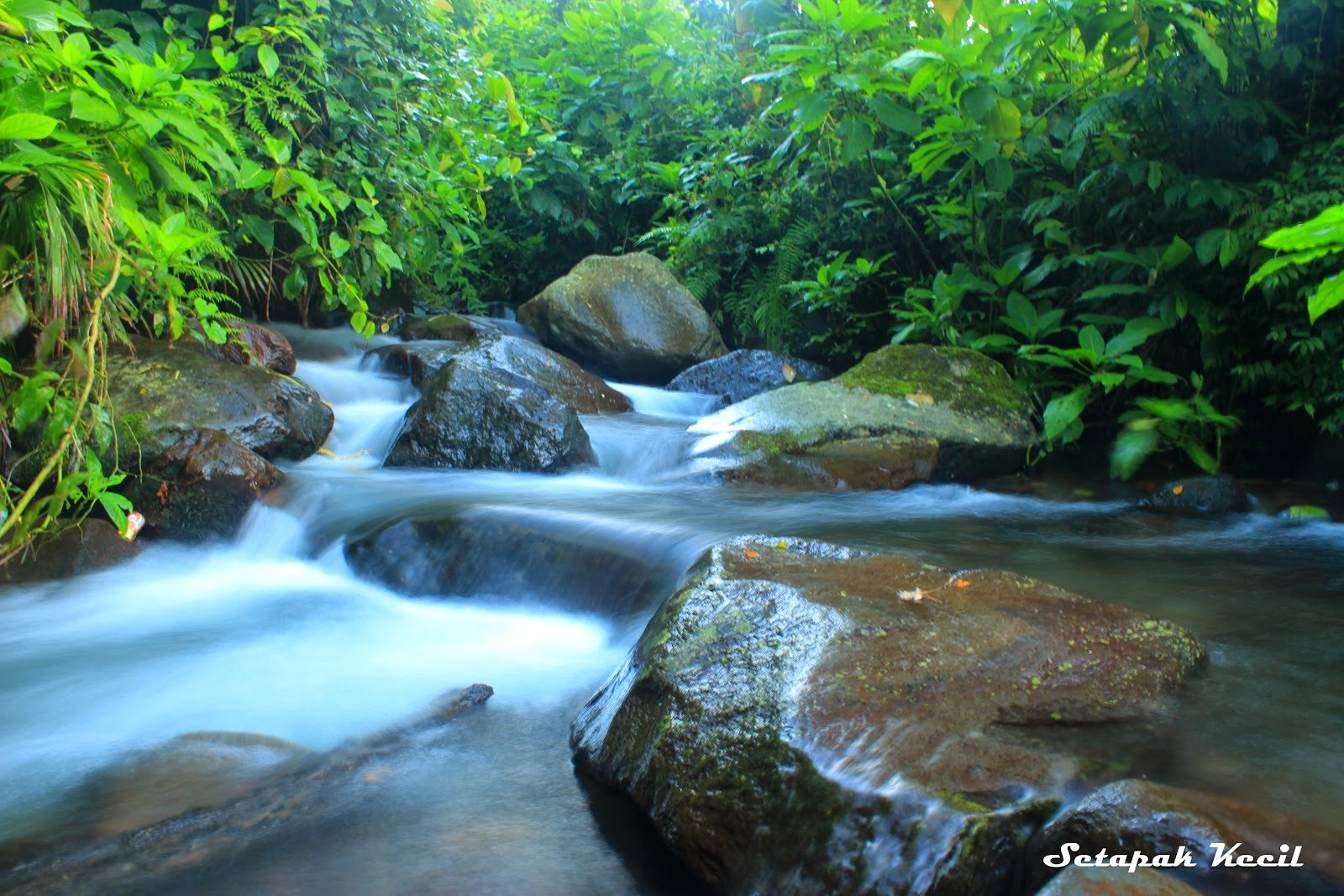 SETAPAK KECIL: Pondok Halimun - Tempat Pelarian