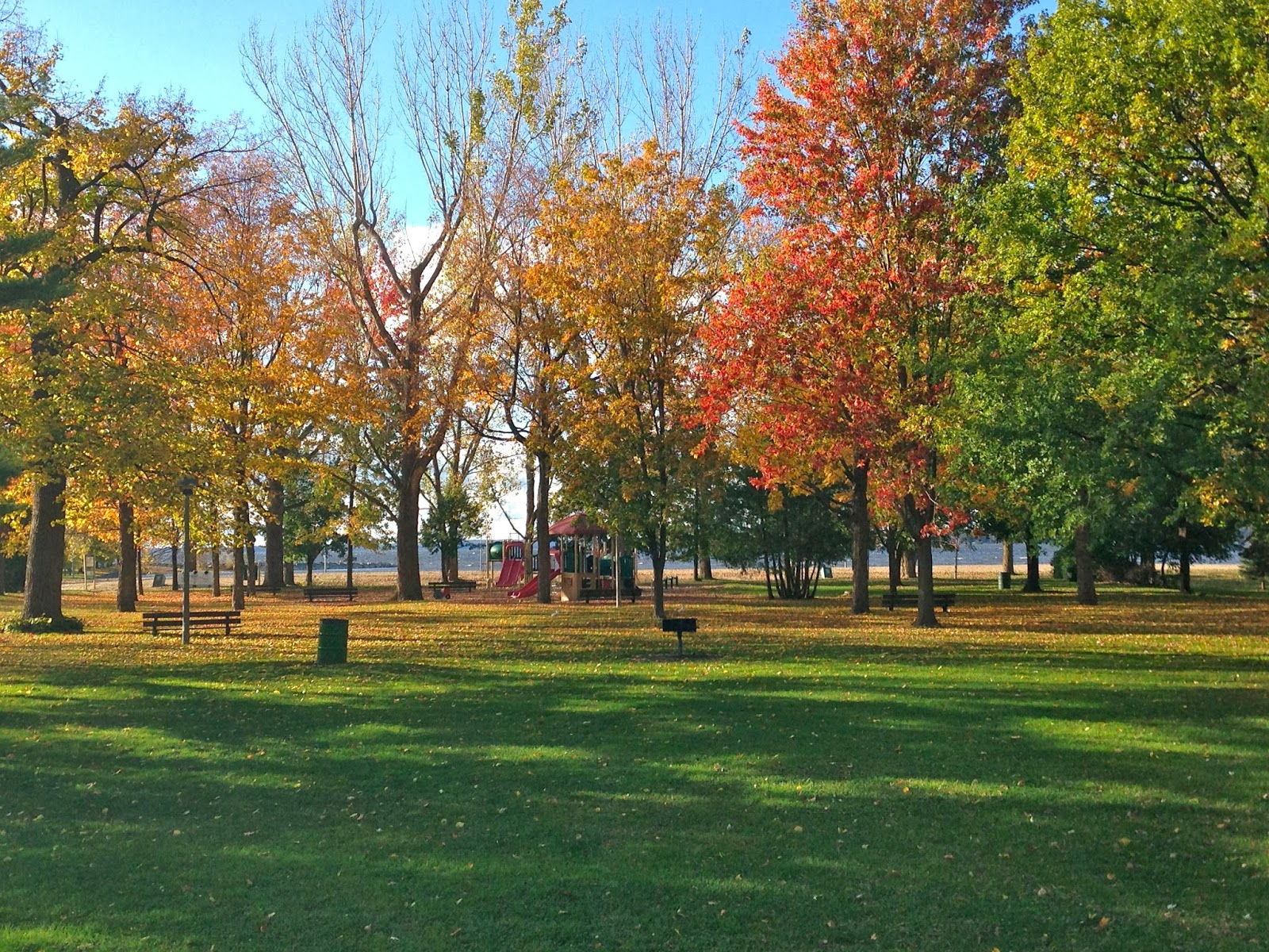 Born to Blog by Beth Kaplan fall in Britannia Park