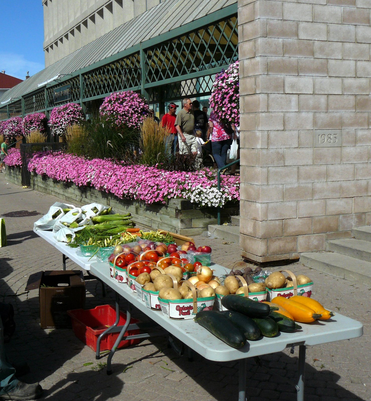 Day Trips, Getaways & All Things Fun North of Toronto Ontario Farmers