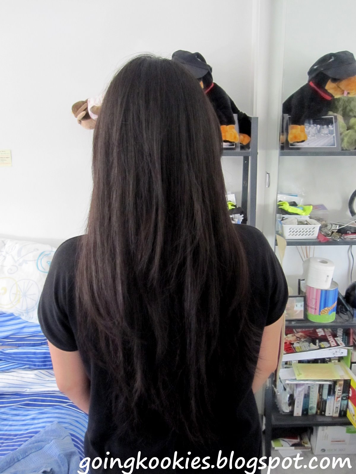 Hot Celebrity Hairs: Colours and Styles : Review on DIY hair dyes