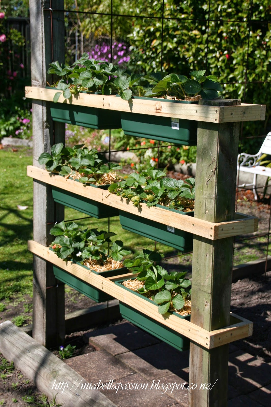 DIY Strawberry Planter Stand....