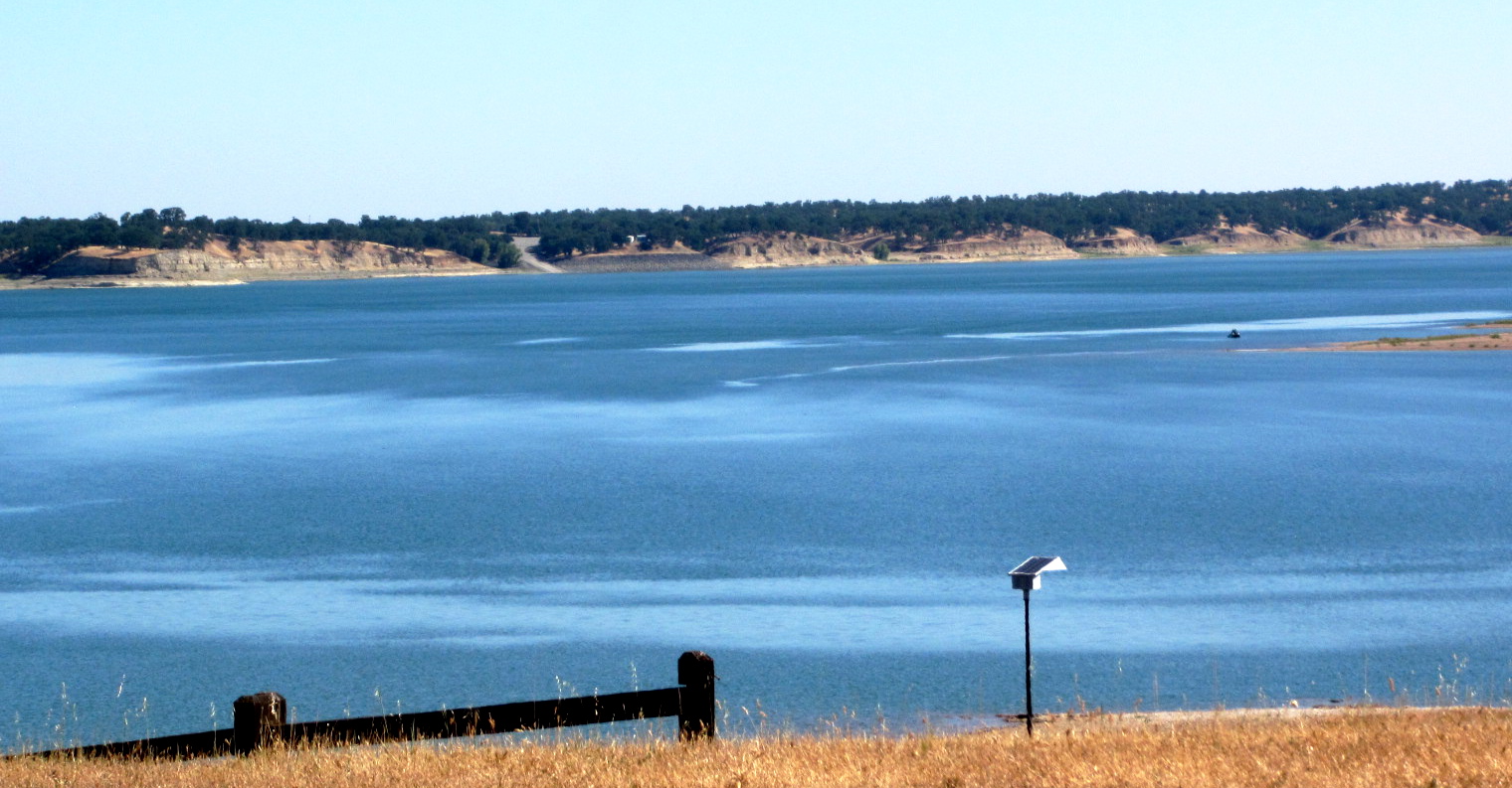 Travel With Whippets Black Butte Lake Boondocking + Friends