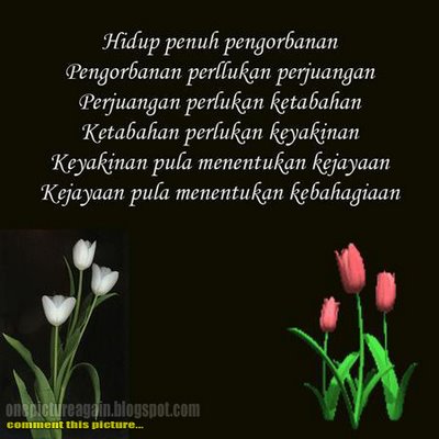 KATA-KATA HIKMAH