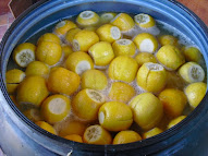 Lemones preservados (Cartama)