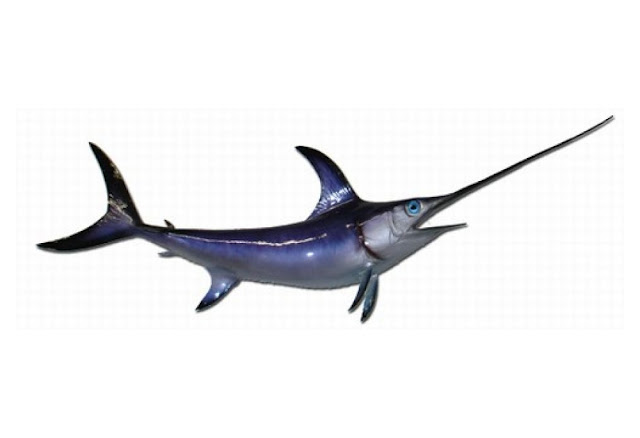  Swordfish Replica 60"