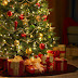 Manuales, Cómo hacer para cuidar un árbol de Navidad