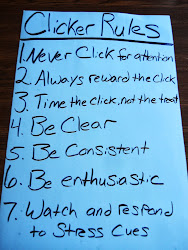 Clicker Rules