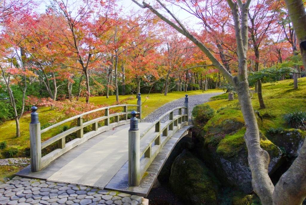 阿畢的天空 箱根 紅葉與美術館之旅