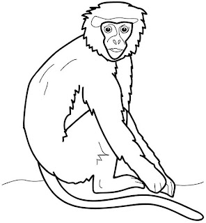 Orangutans Coloring Pages Ideas
