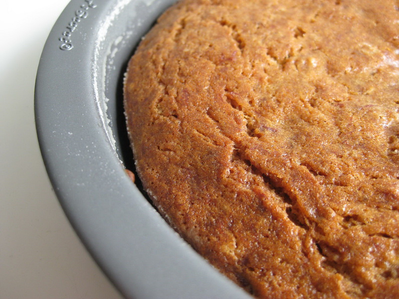 My Handmade Home Toaster Oven Challenge Crunchy and Moist Banana Bread