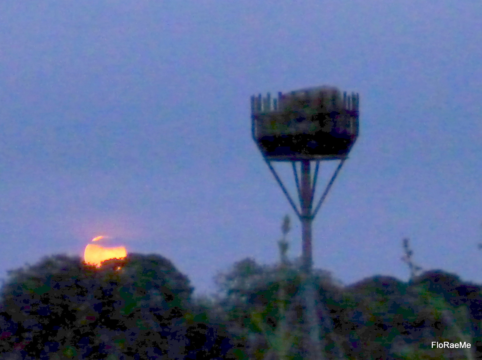 FloRaeMe Jubilee Beacon Lighting in the Shire