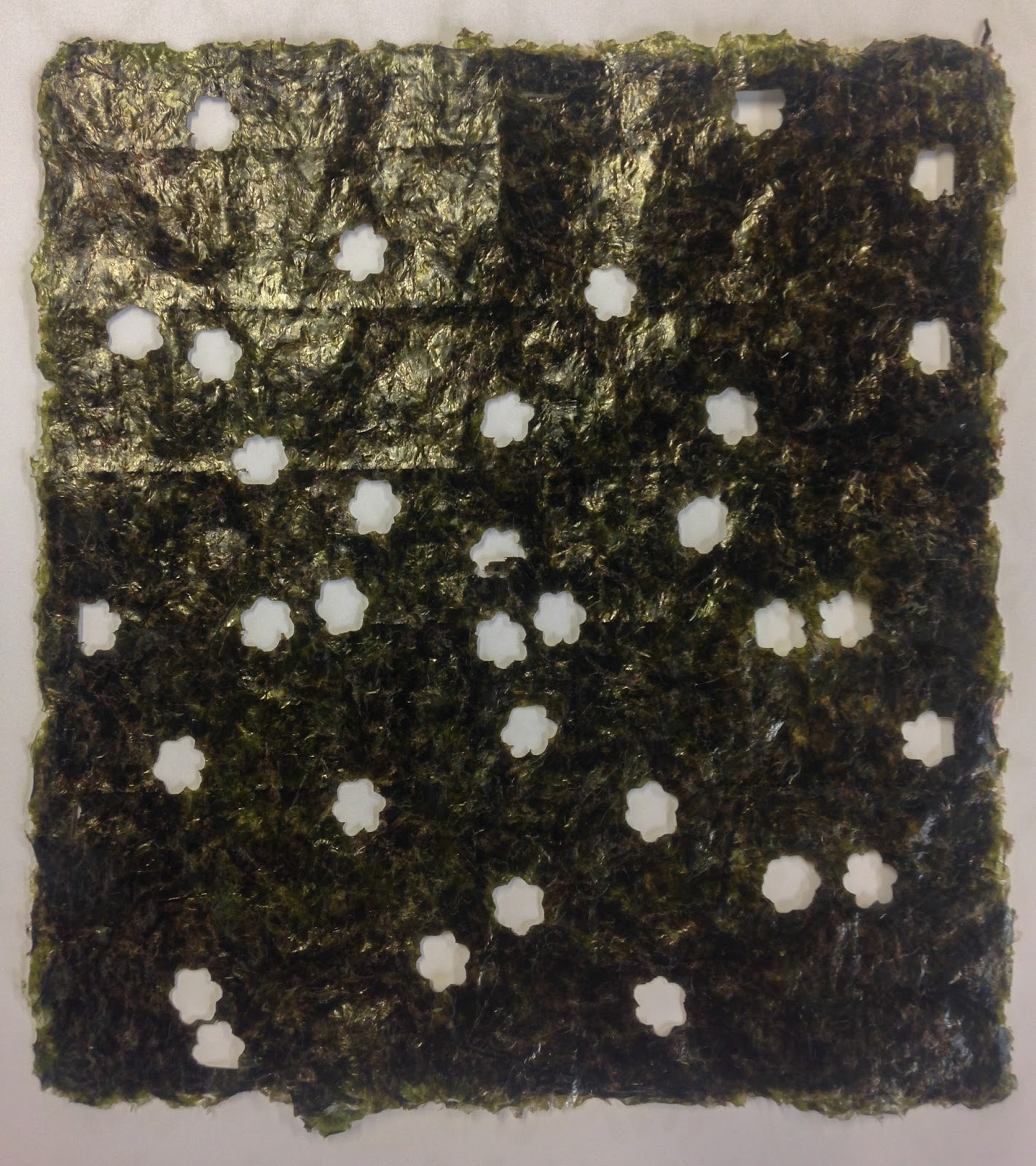 Helen Shaddock: Laser cutting seaweed and rice paper for Laser Cut Designs Paper
53kxo Helen Shaddock: Laser cutting seaweed and rice paper for Laser Cut Designs Paper
53kxo