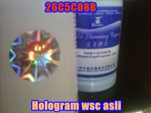 hologram%2Bwsc.jpg